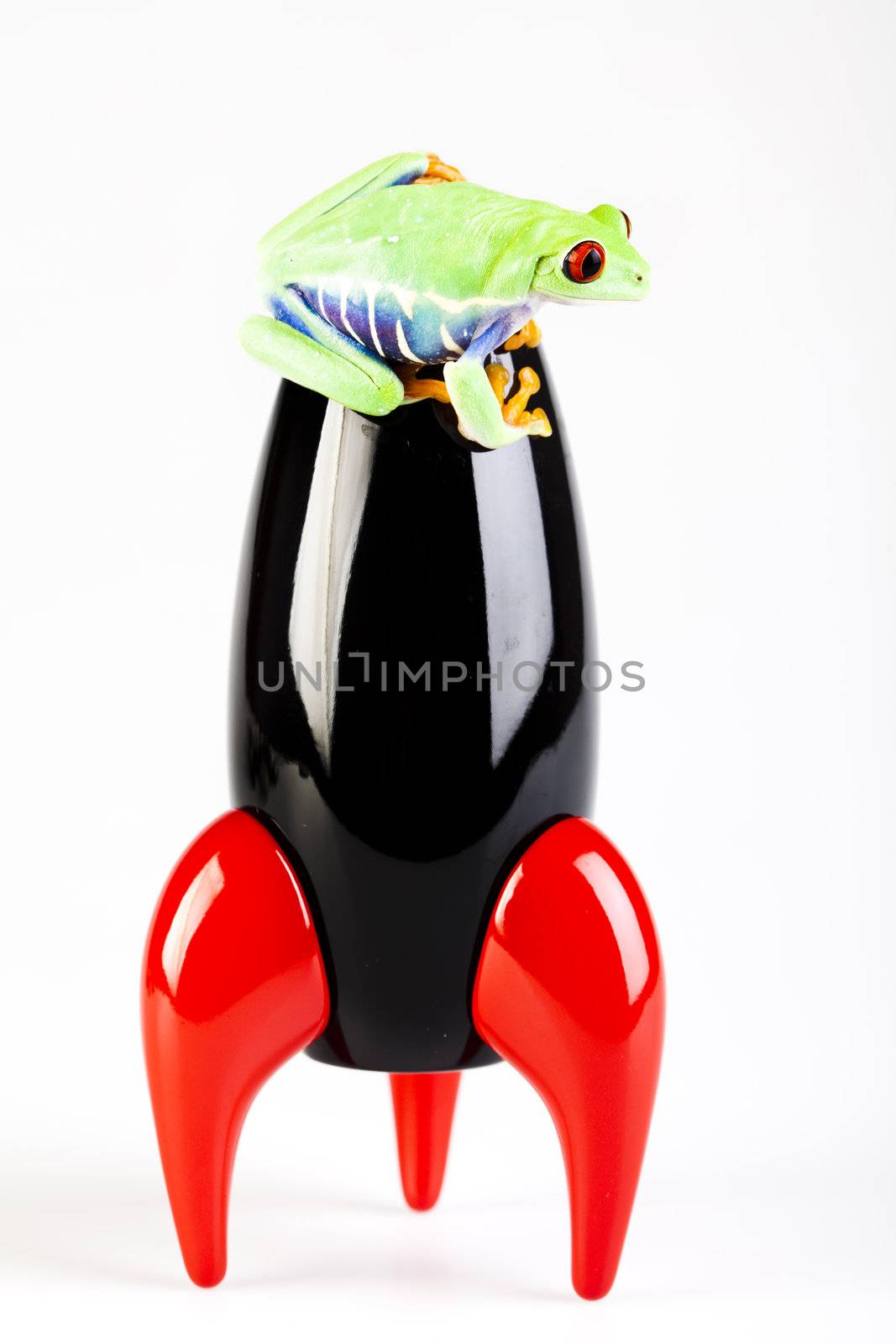 Rocket and frog by JanPietruszka