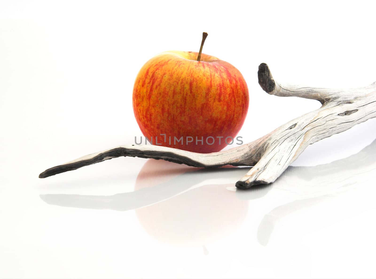 Red apple with a  wooden piece  by Iko