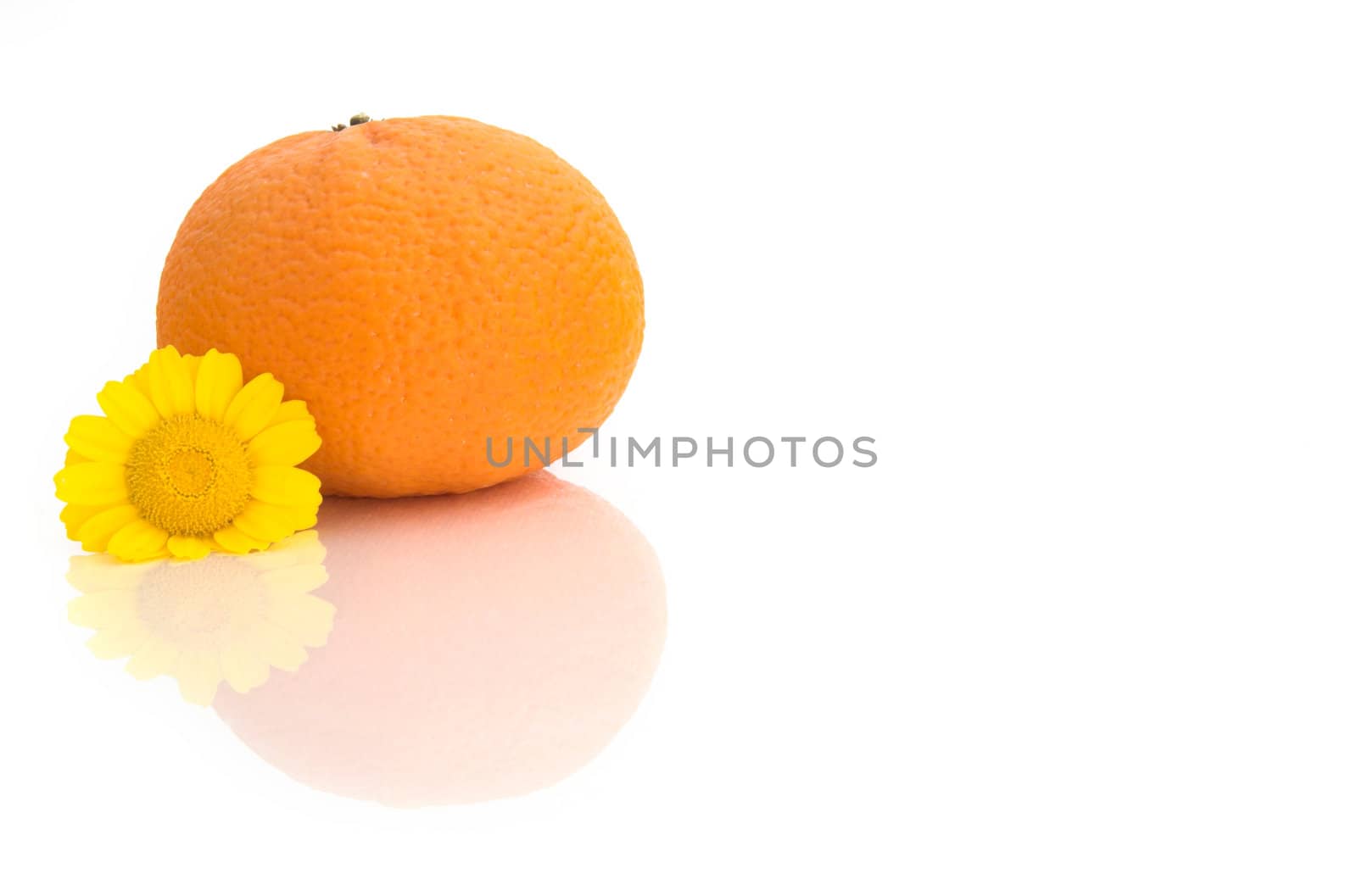 Orange with a flower and reflections by Iko