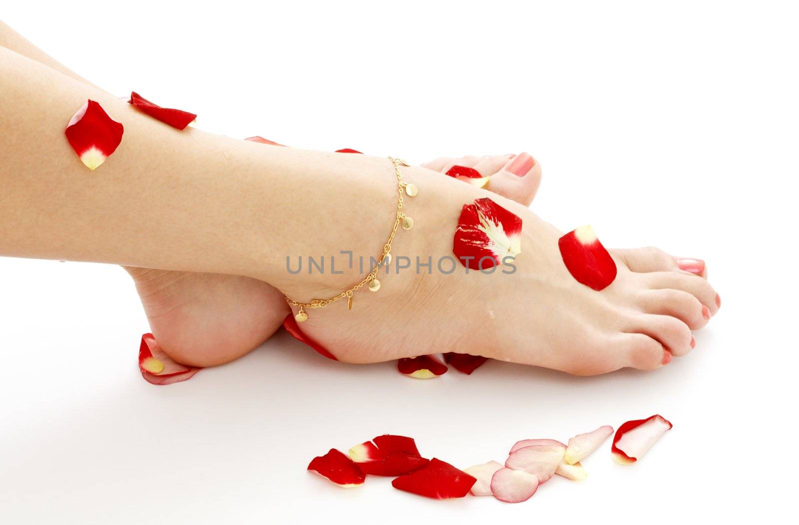 feet with petals in spa by dolgachov