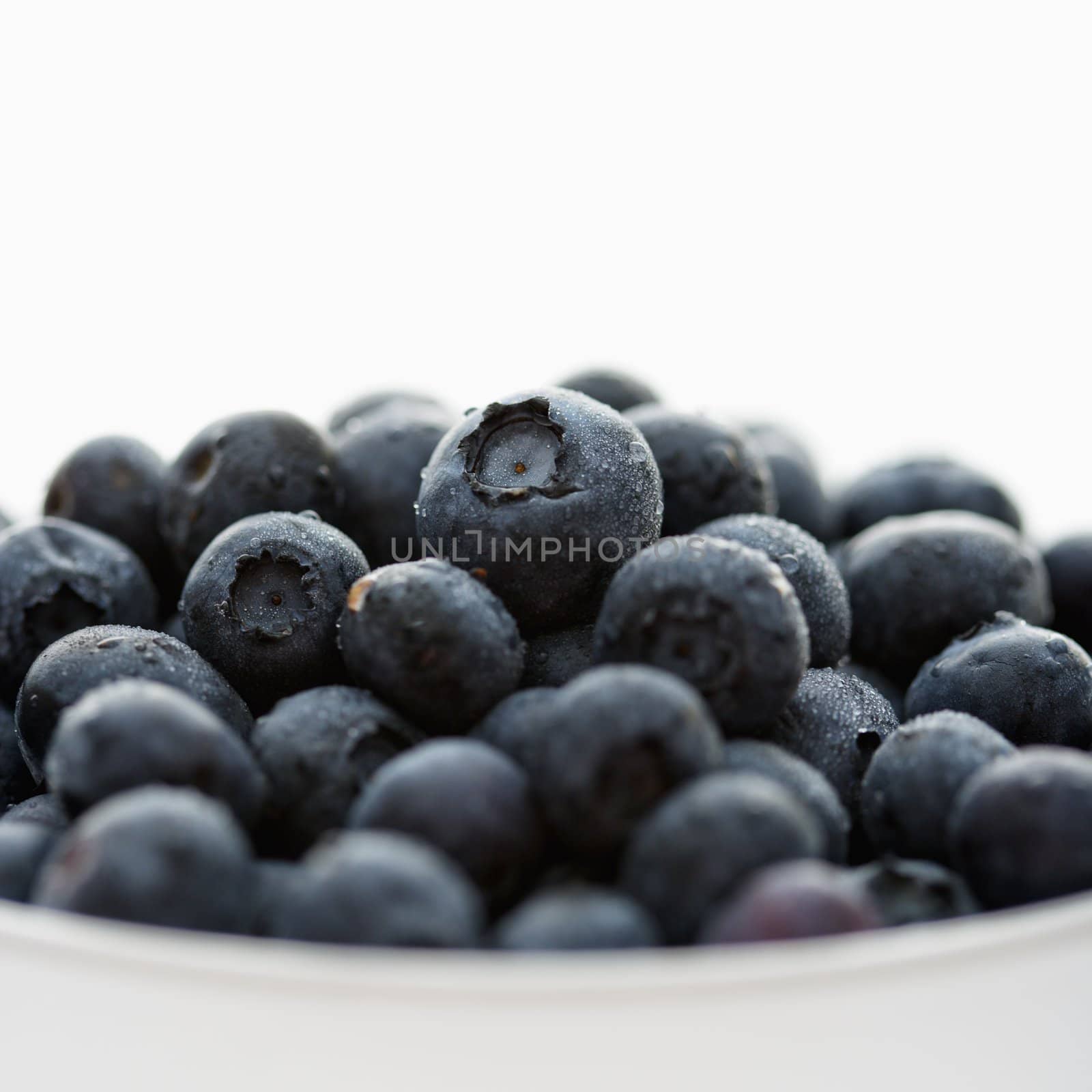 Bowl of blueberries against white background.