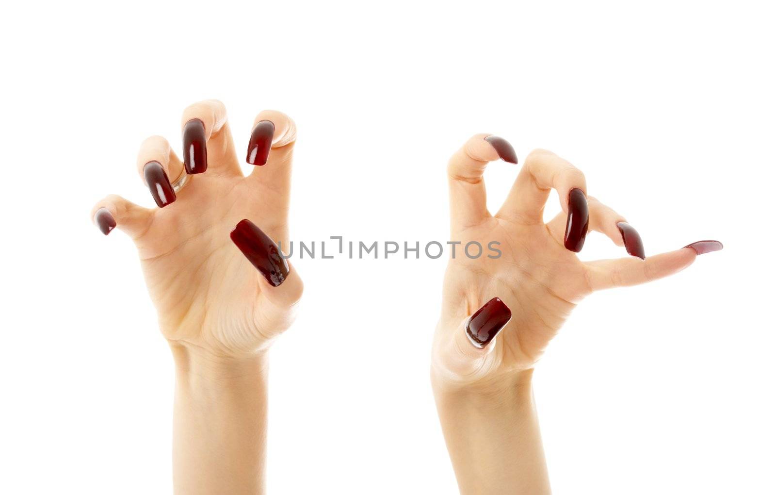 hands with long acrylic nails over white