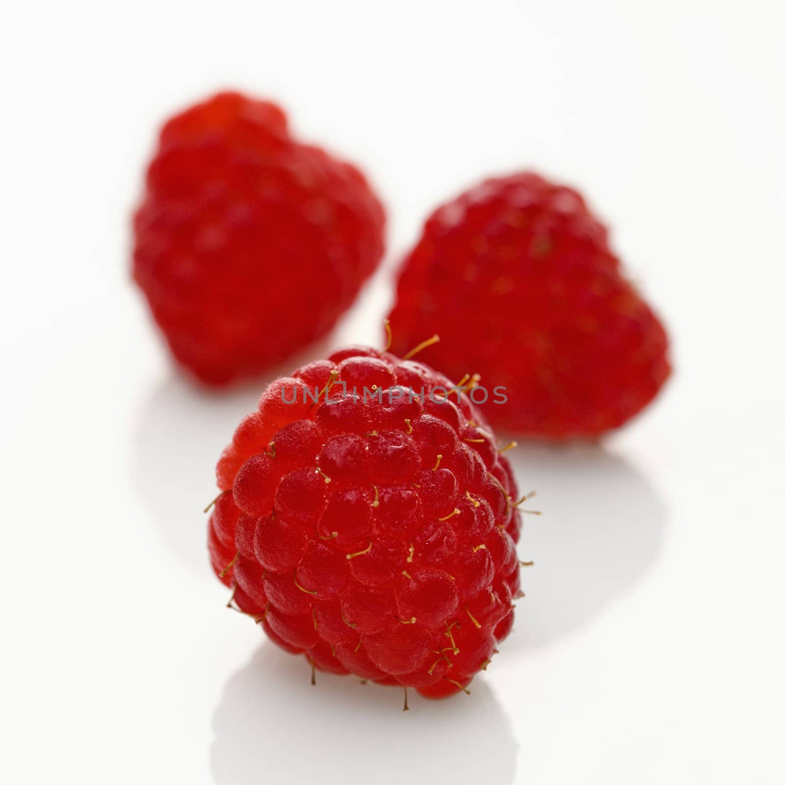 Three red raspberries on white background.