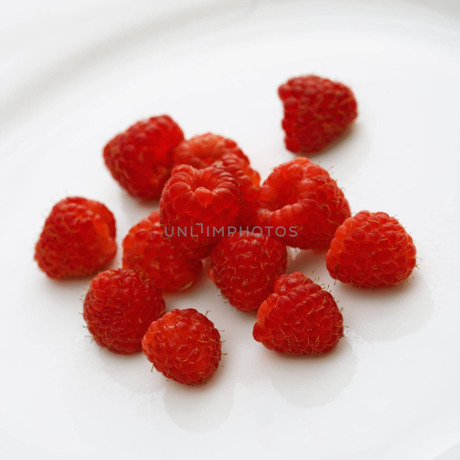 Red raspberries on white background.
