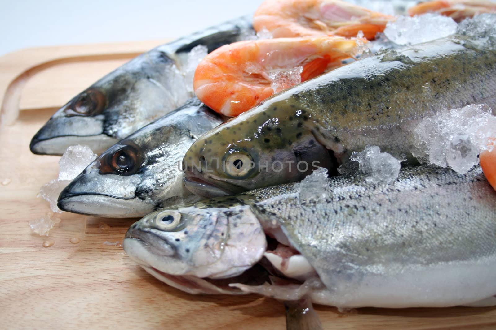 fresh fish