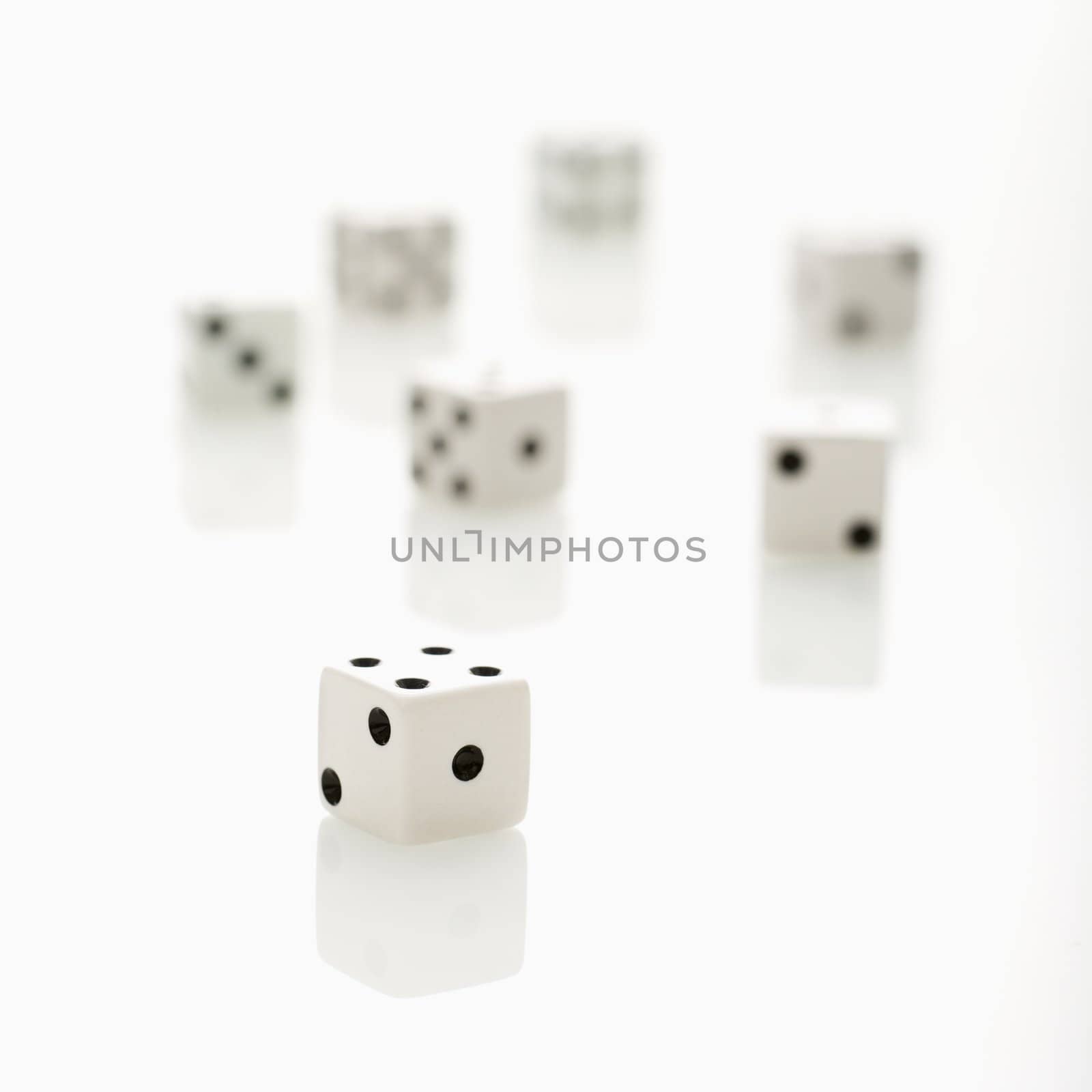 Group of white dice.