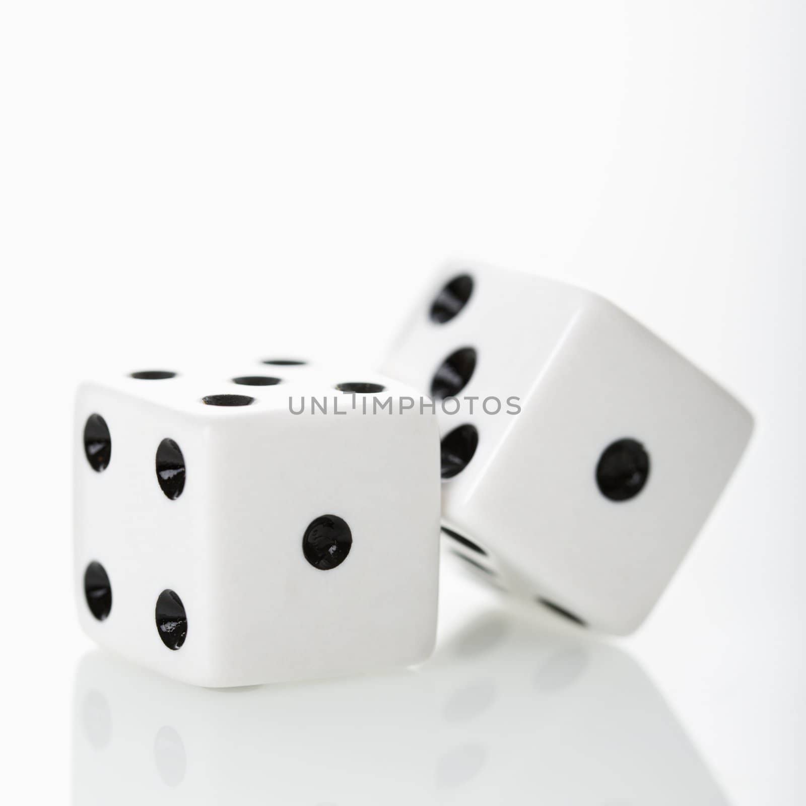 Two white dice.