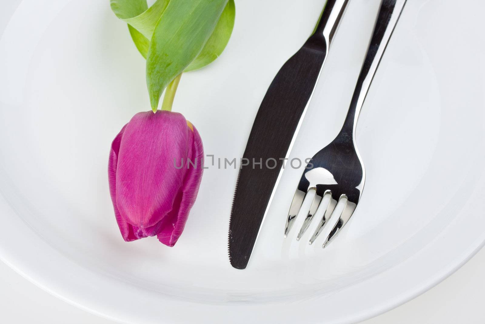 tulip,knife and fork on a white plate isolated by bernjuer