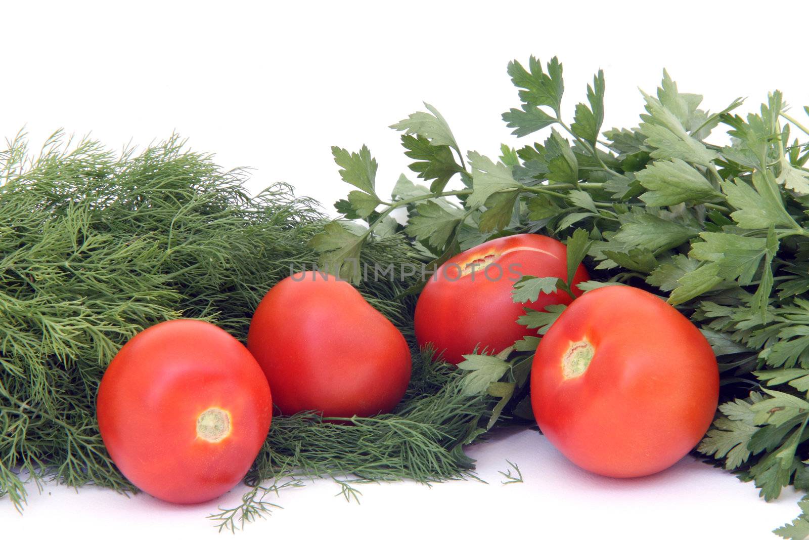 four tomatos between dill  and parsley isolated on white background food and vegetables