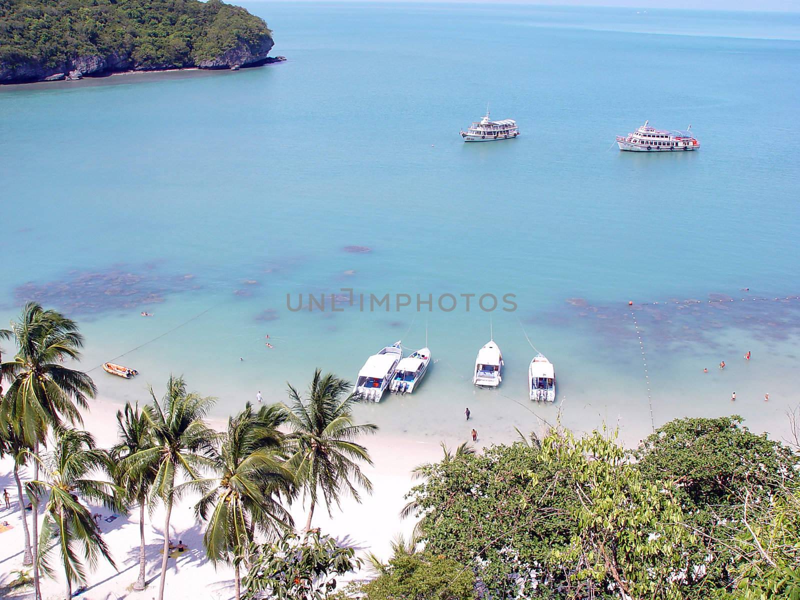 tropical beach and nature at samui island thailand asia