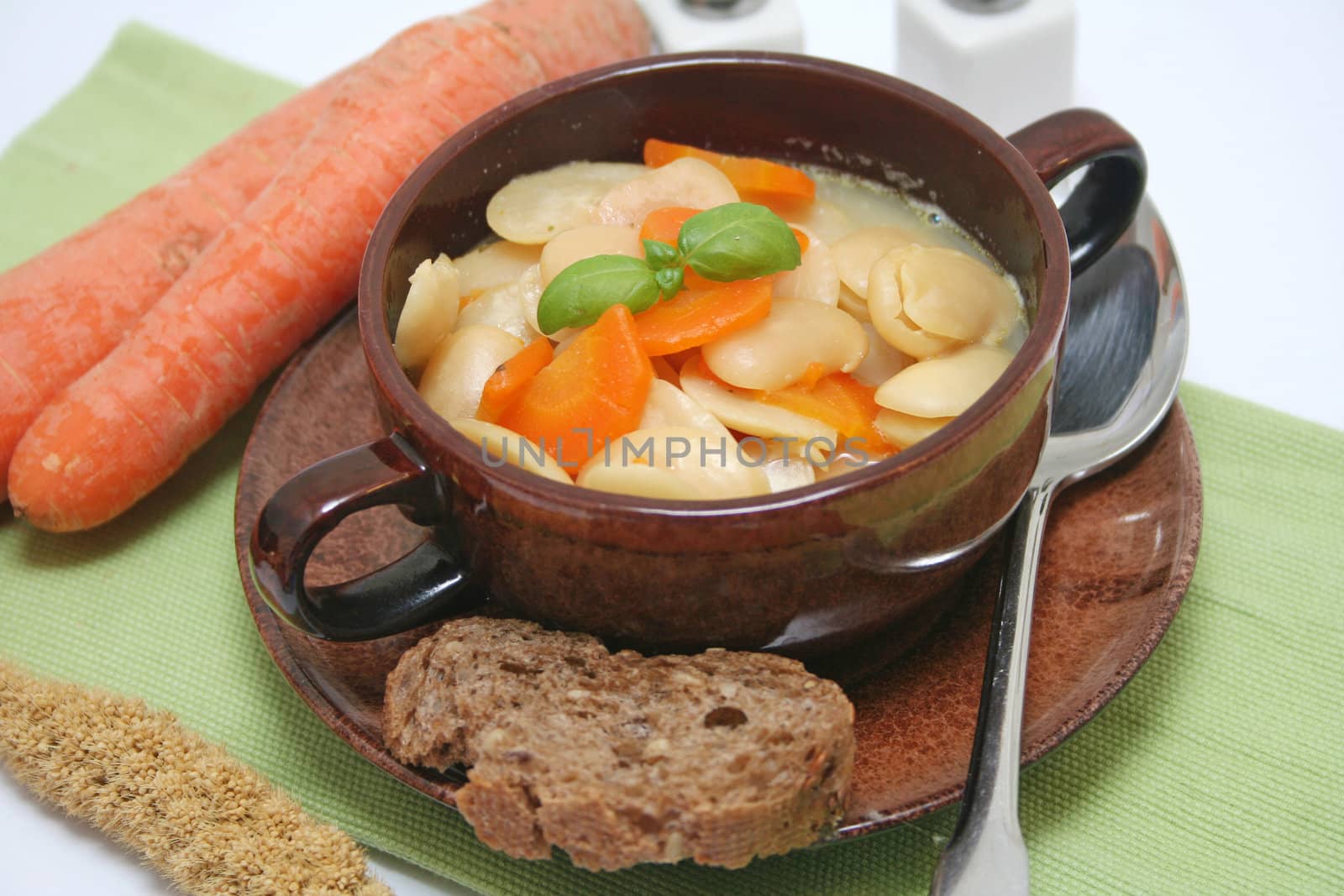 a fresh stew of beans and carrots