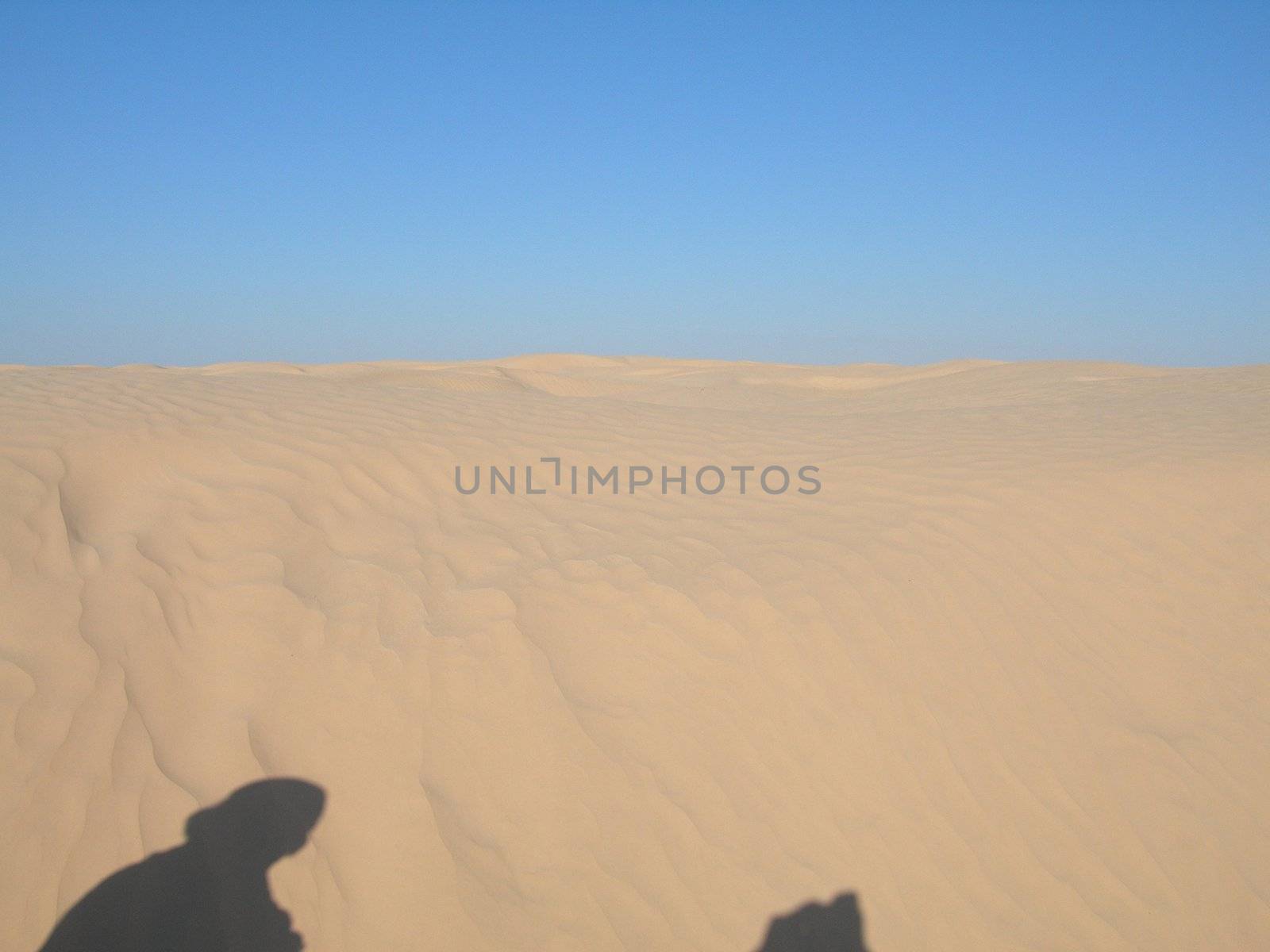shadow of camel rider in sand desert blue sky horizon