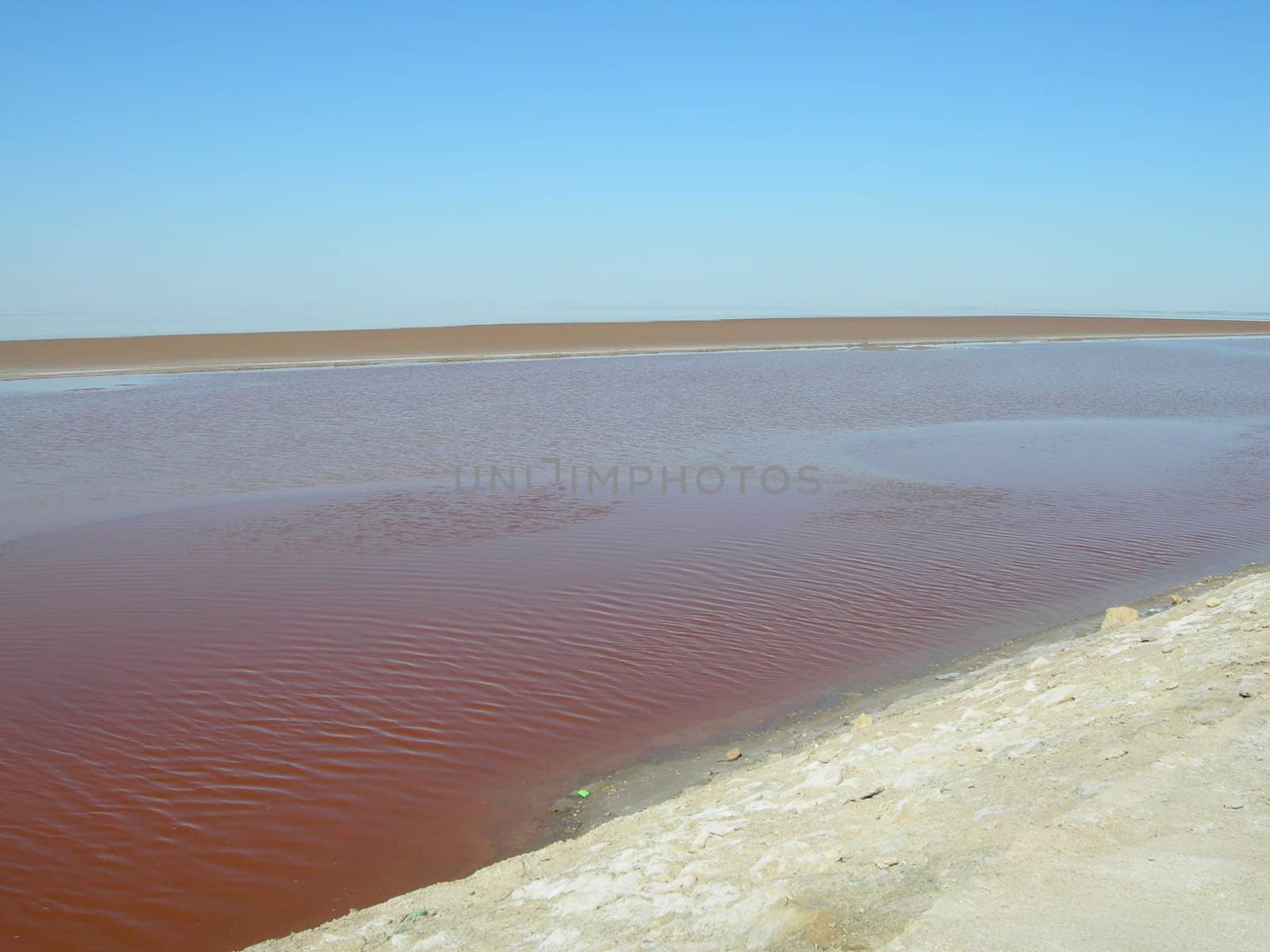 red salt lake landmarks of tunisia africa          