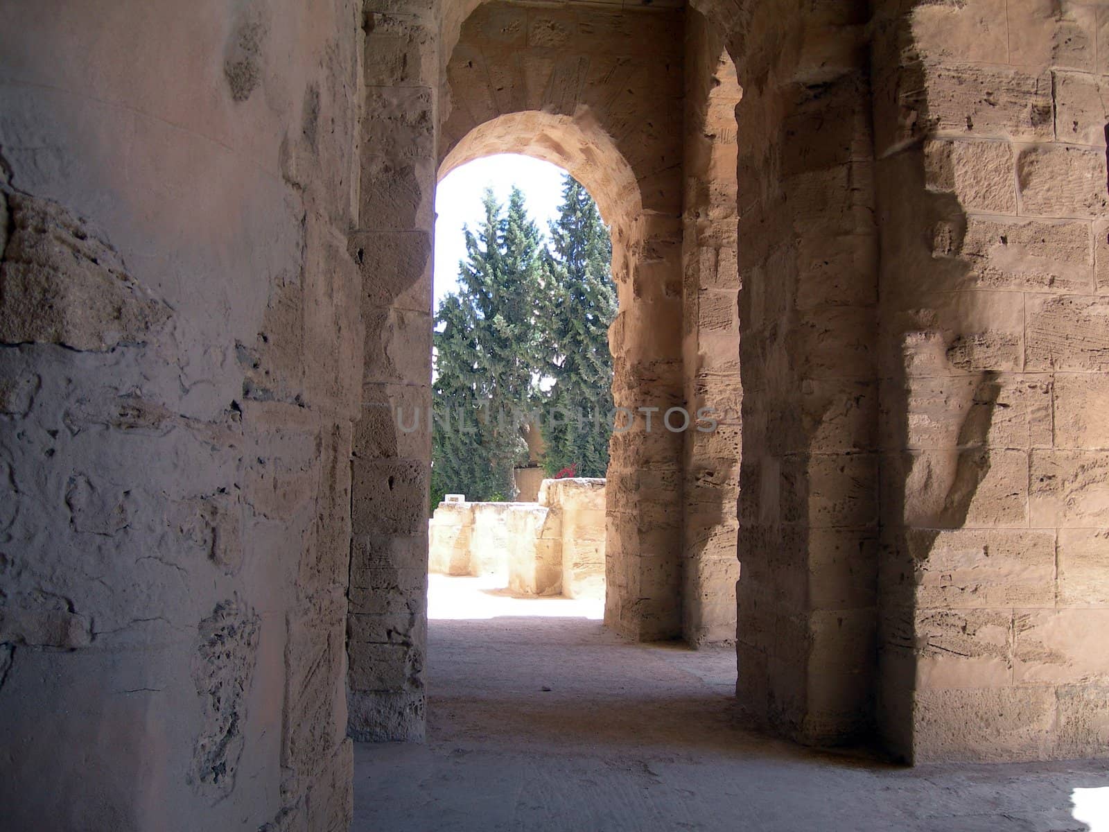 roman colosseum of tunisia and trees ancient landmarks of africa