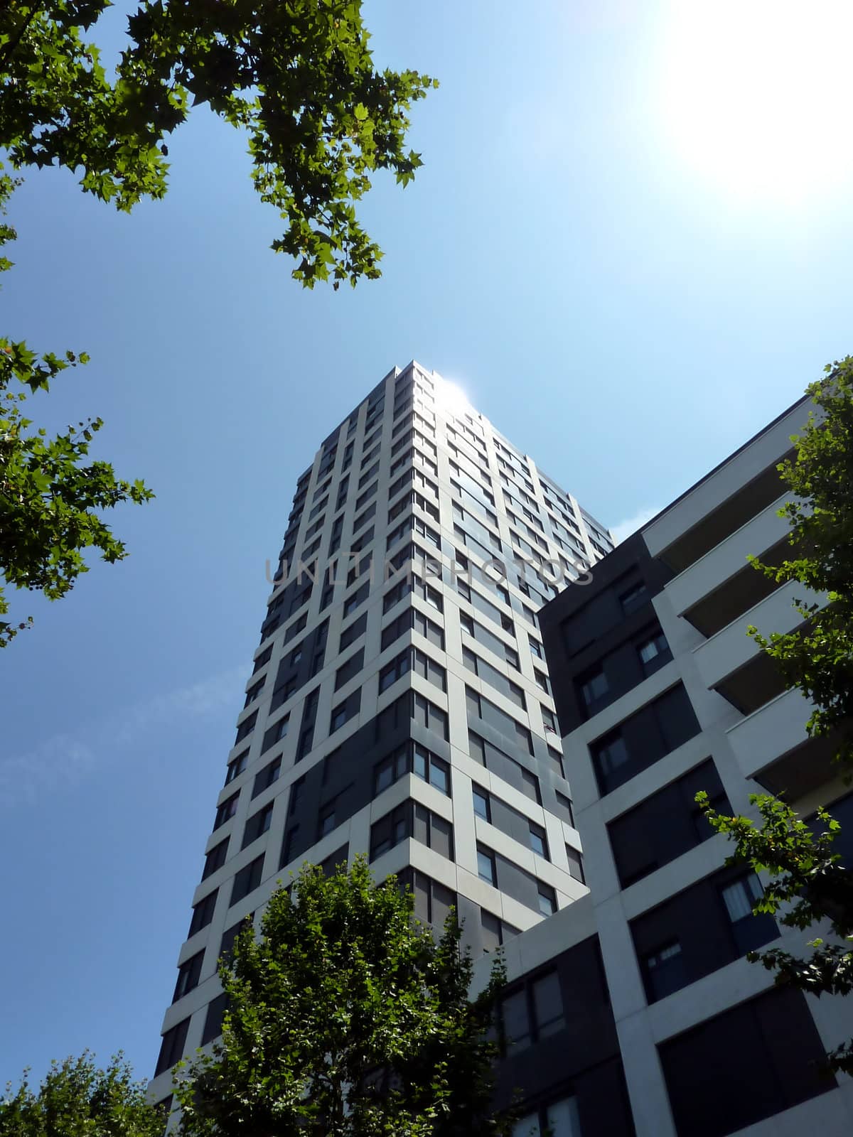 Black and white skyscraper surrounded by trees by beautiful sunny weather