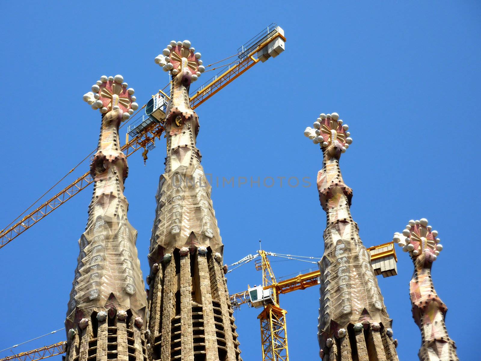 Towers and cranes of the Sagrada familia church by beautiful weather, Barcelona, Spain