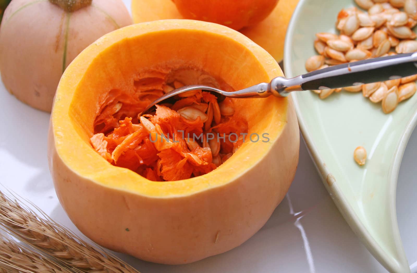 a pumpkin