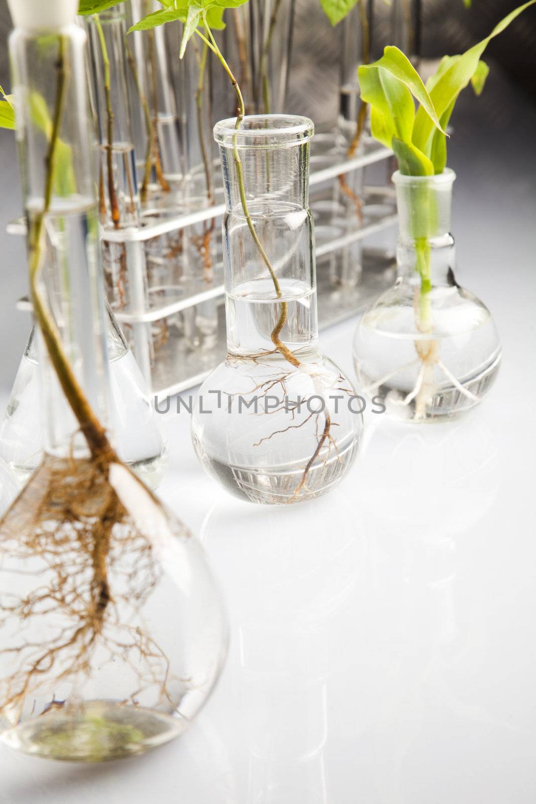 Plants  and laboratory  by JanPietruszka