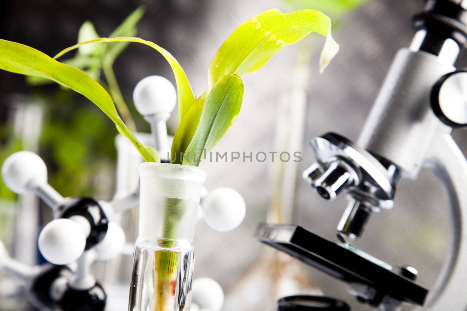 Plants  and laboratory  by JanPietruszka