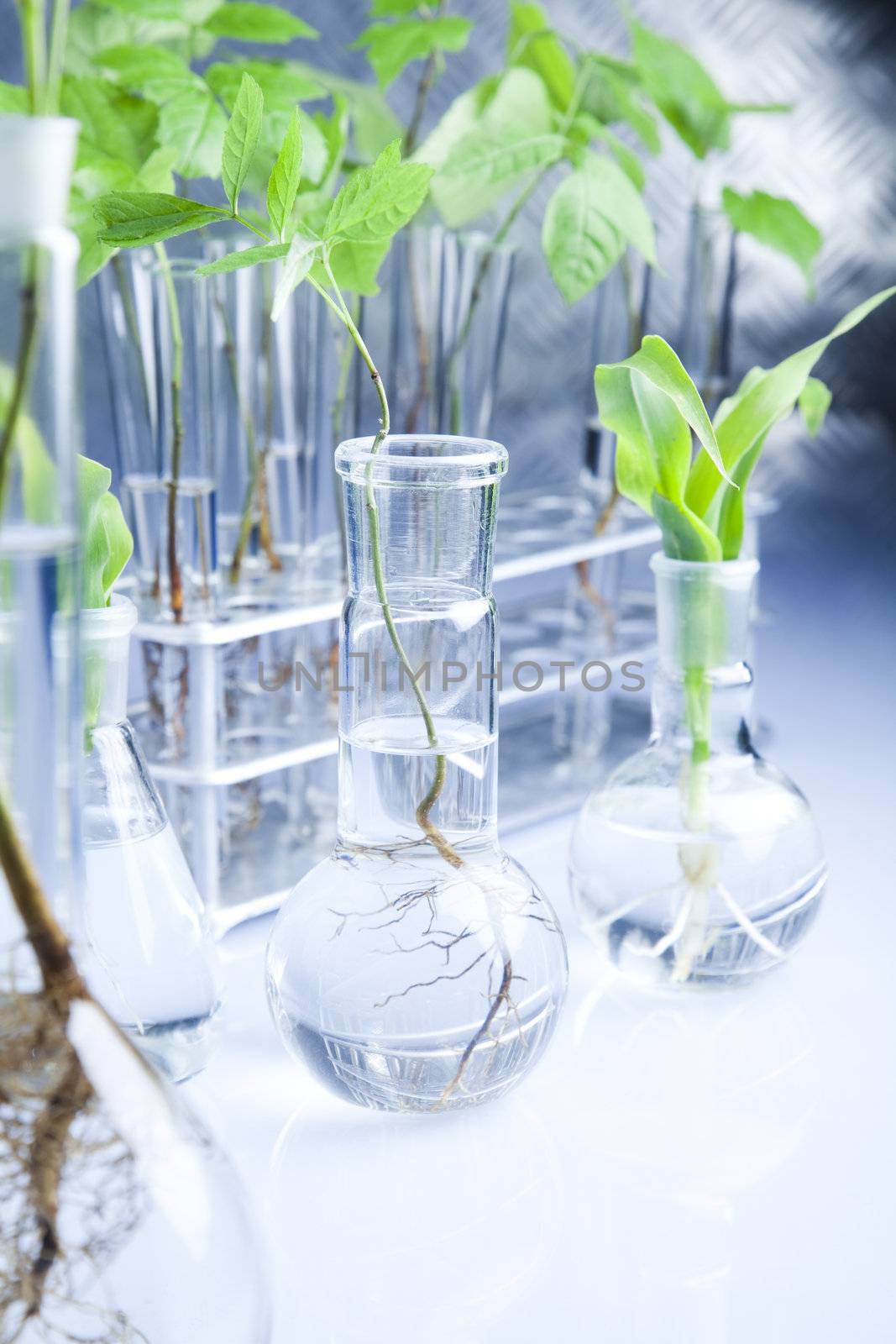 Plants  and laboratory  by JanPietruszka