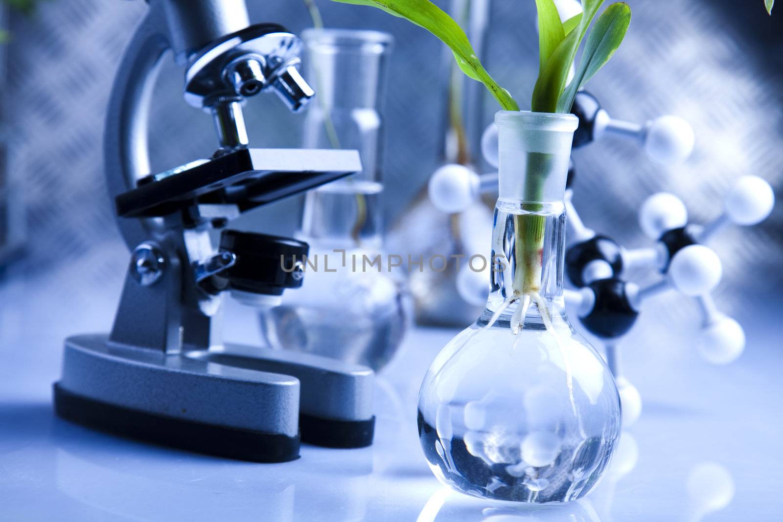 Research and experiments  in Laboratory