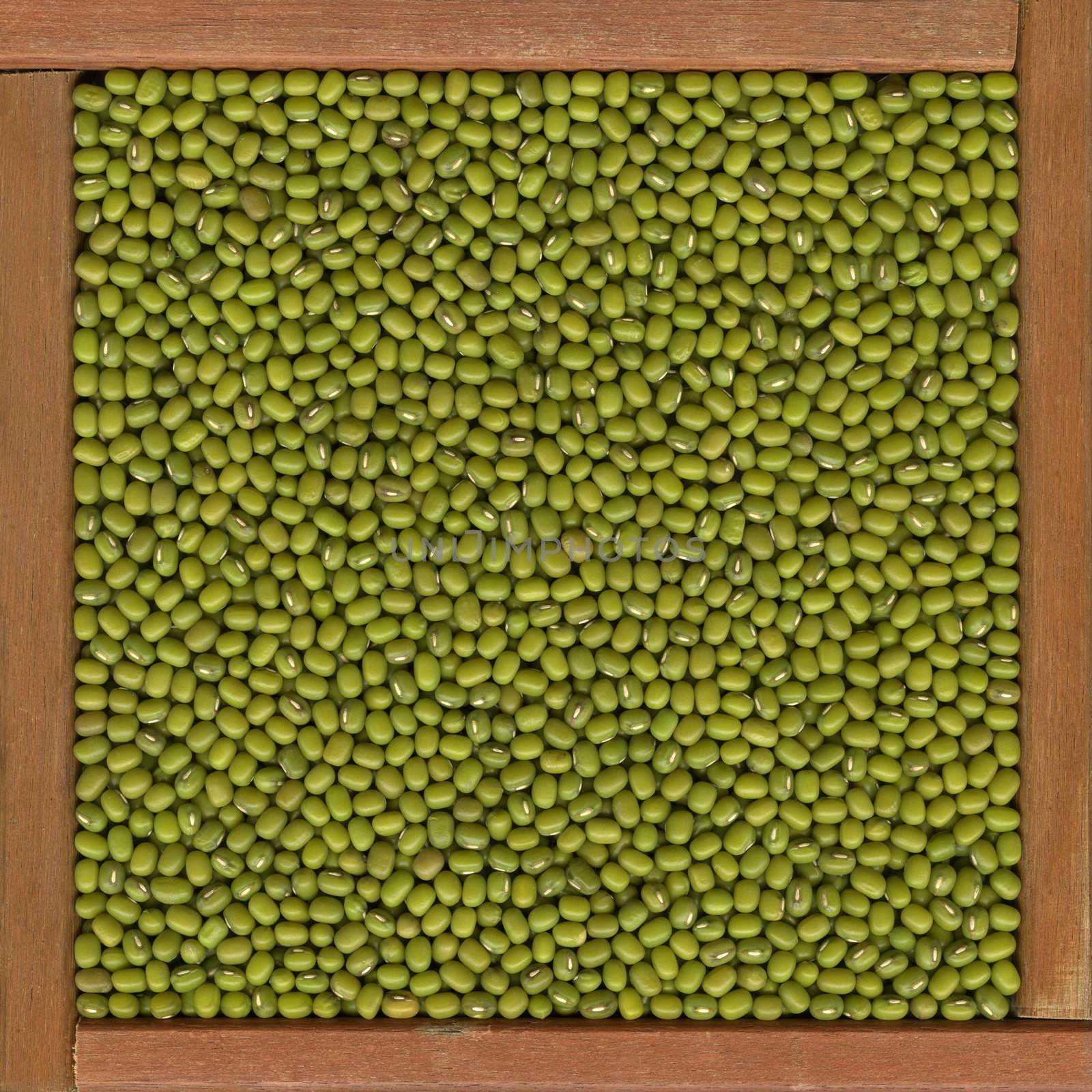 mung beans  background in a primitive, wooden frame or box