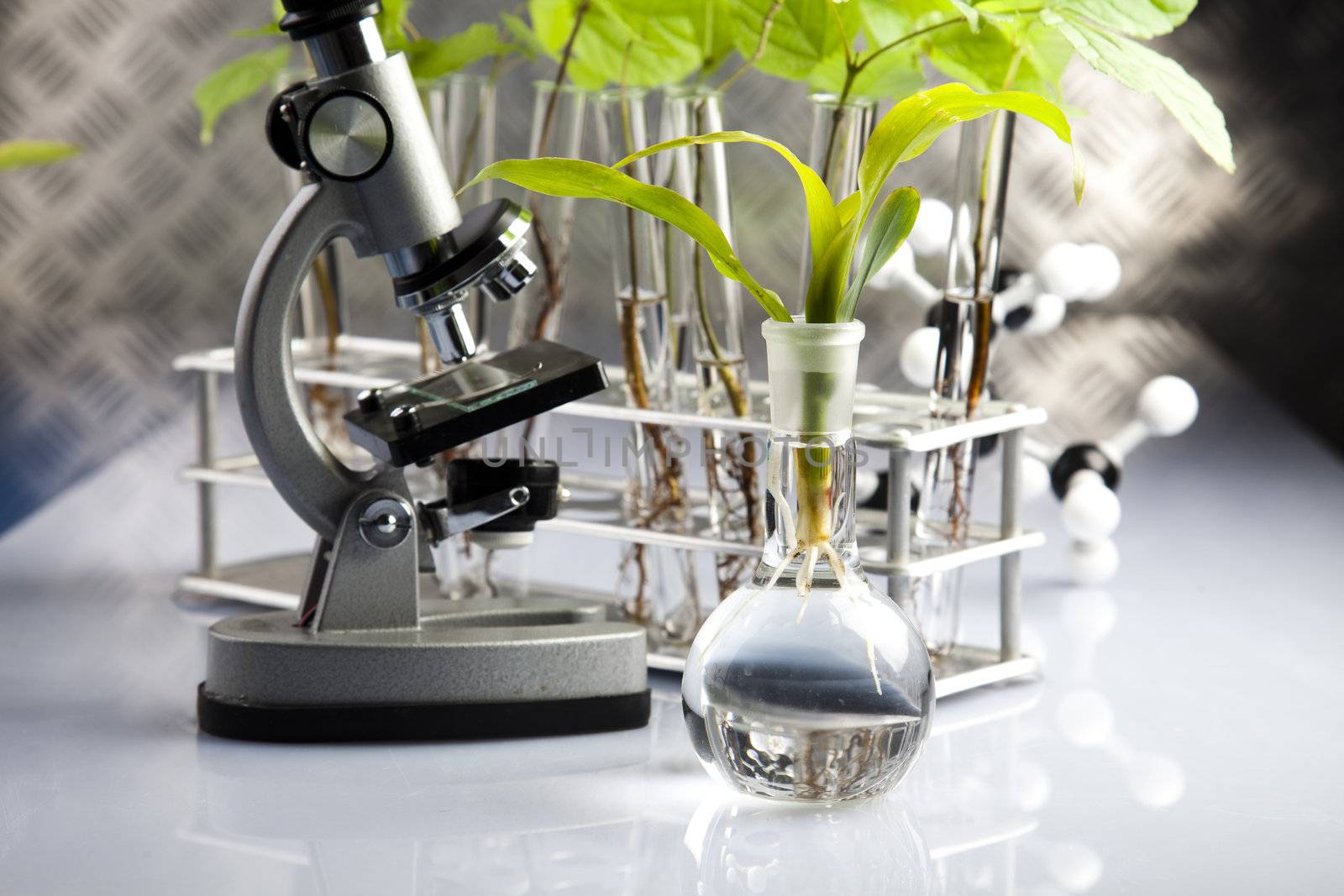 Working in a laboratory and plants  by JanPietruszka