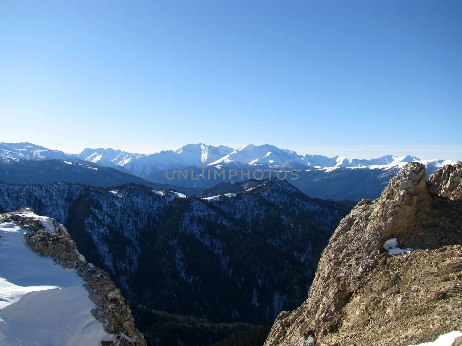 Russia; a file; flora; vegetation; a distance; winter