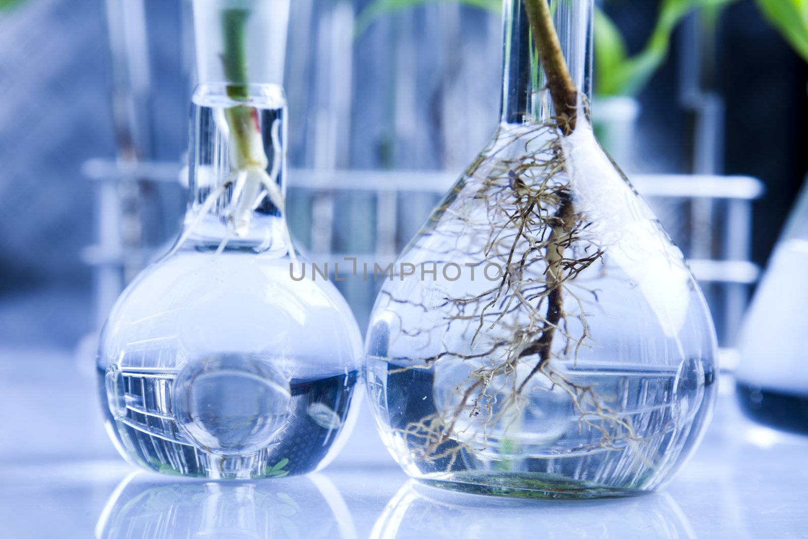 Plants  and laboratory 