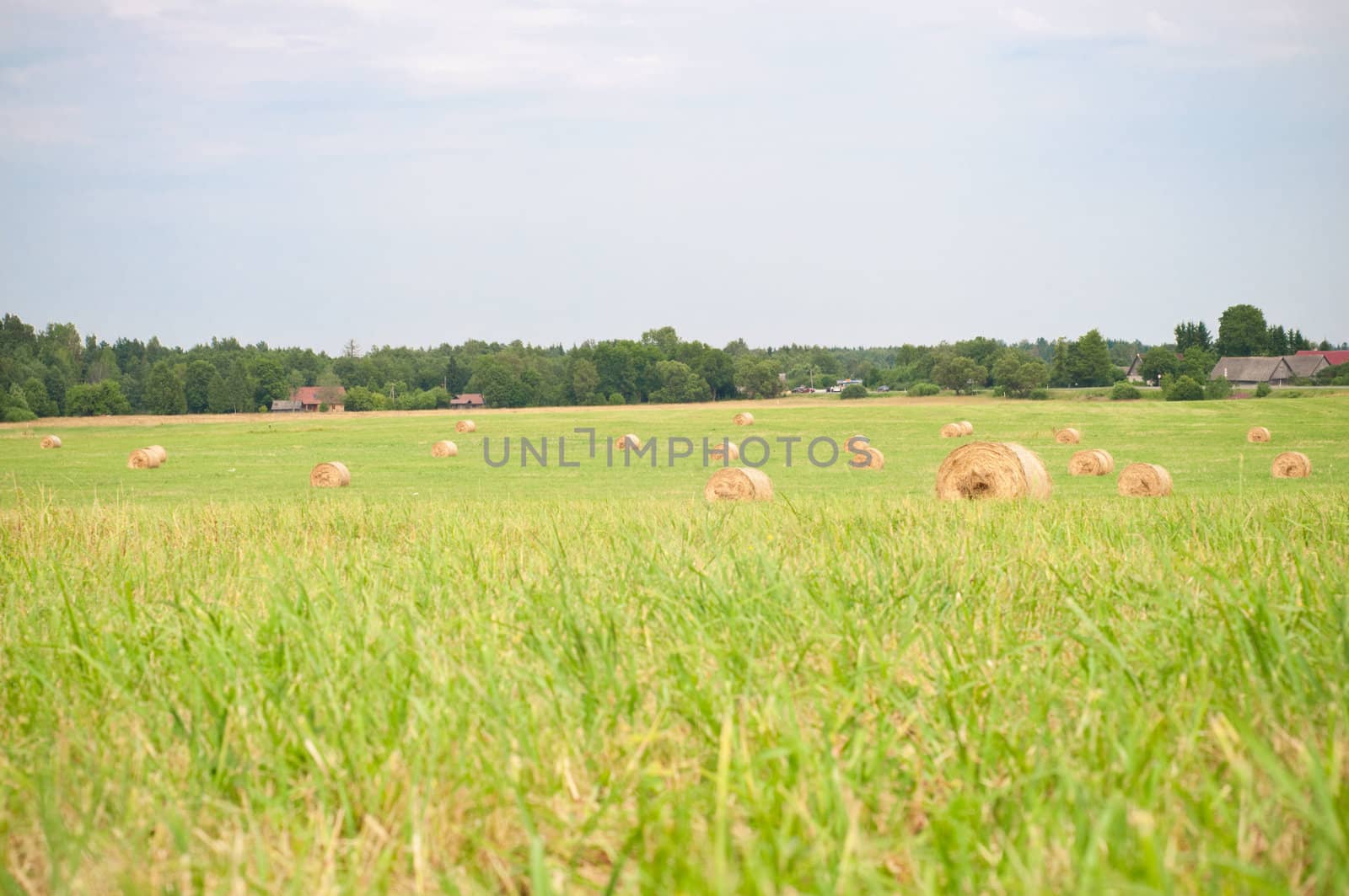 Shot of hay on the field, landscape