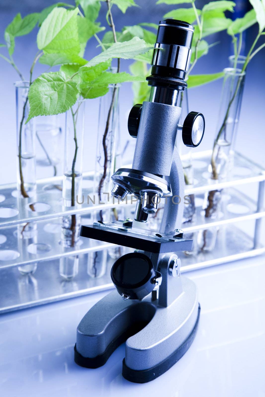 Plants  and laboratory 