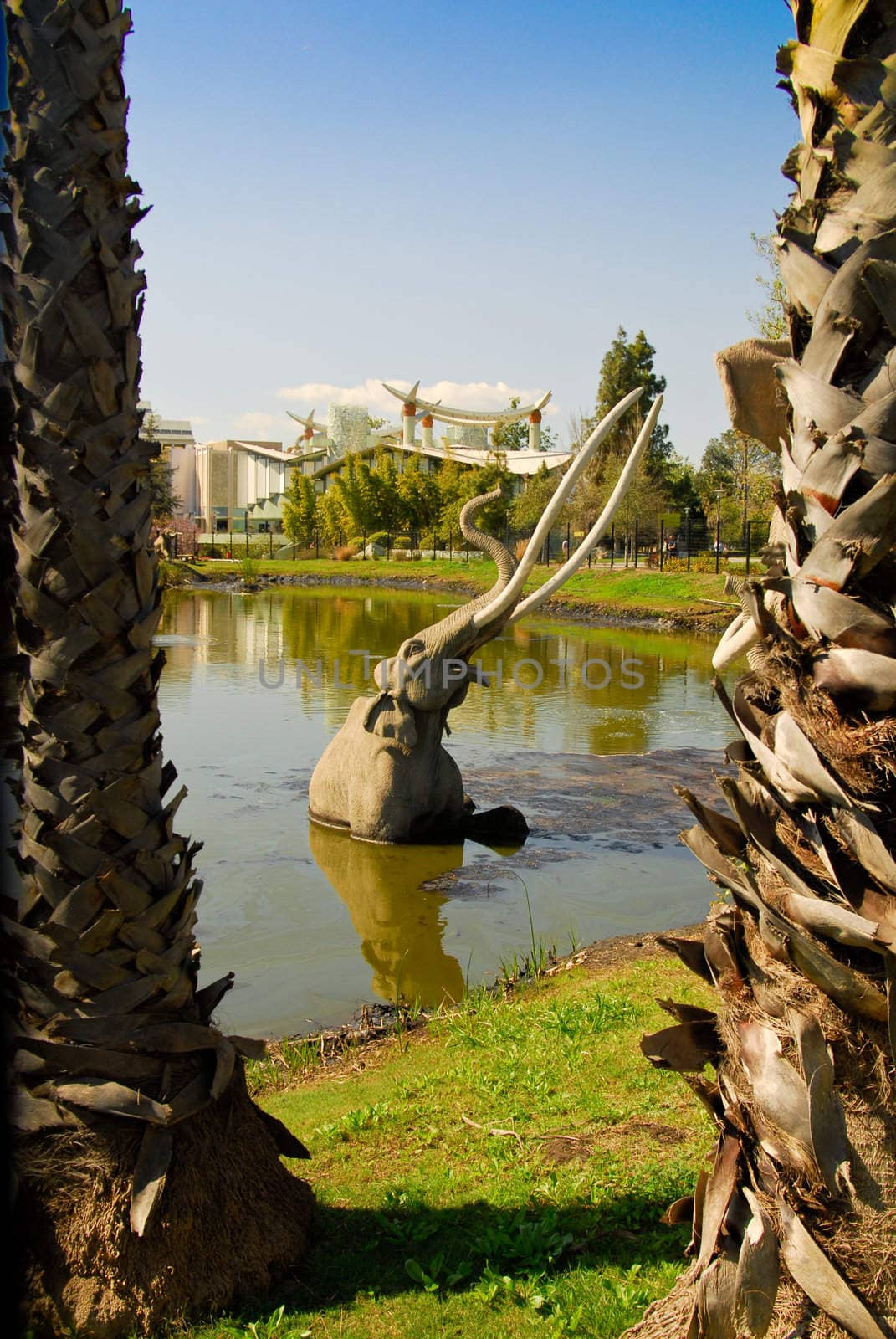 La brea Tar Pits museum, view from front elephant in pond area