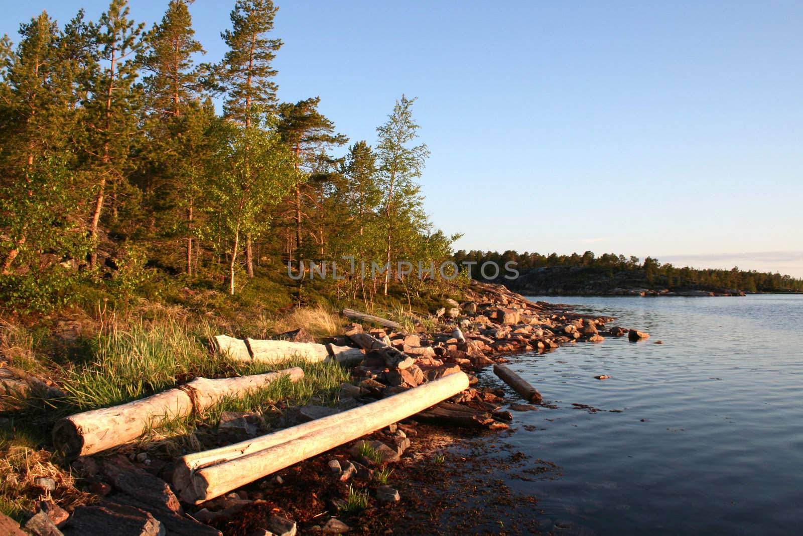 summer sunrise with forest, water and rocks
