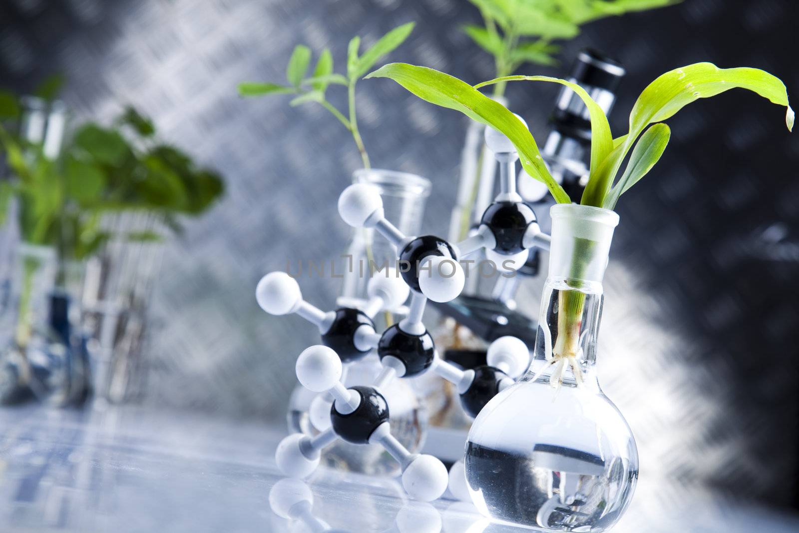 Plants  and laboratory 