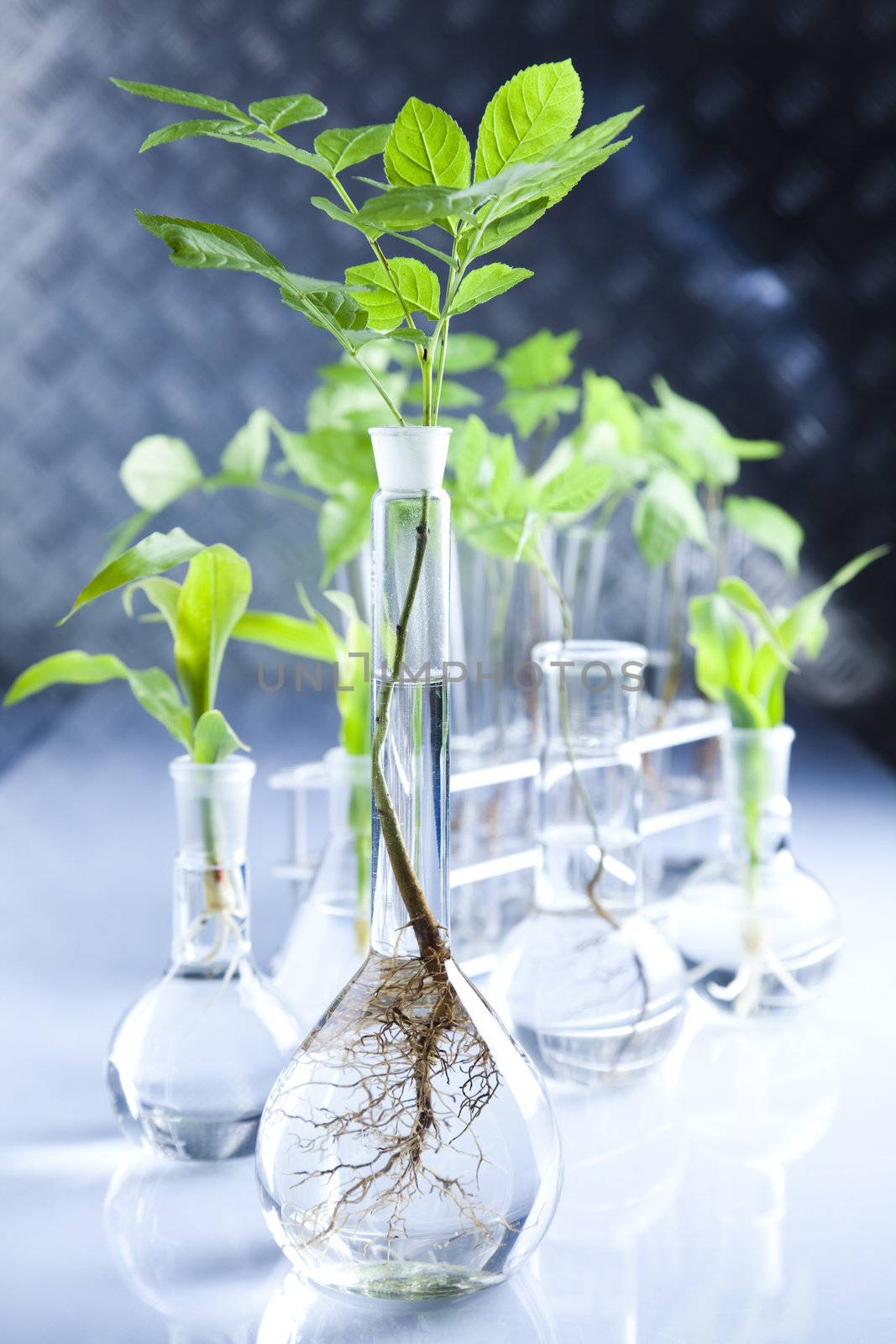 Plants  and laboratory  by JanPietruszka