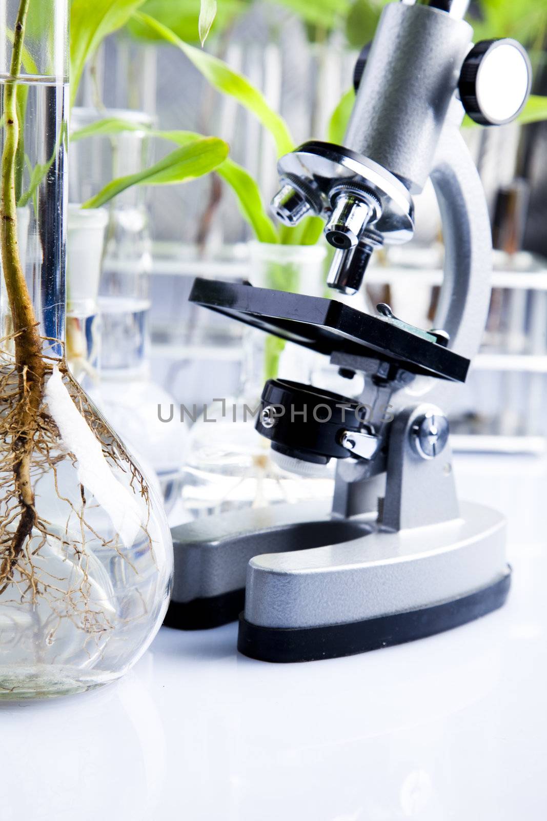 Plants  and laboratory 