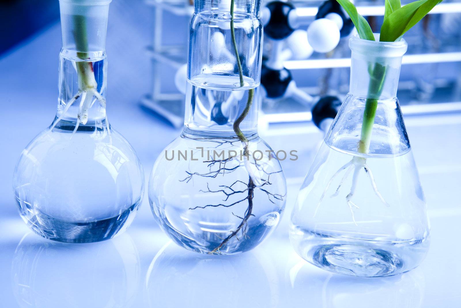 Plants  and laboratory 