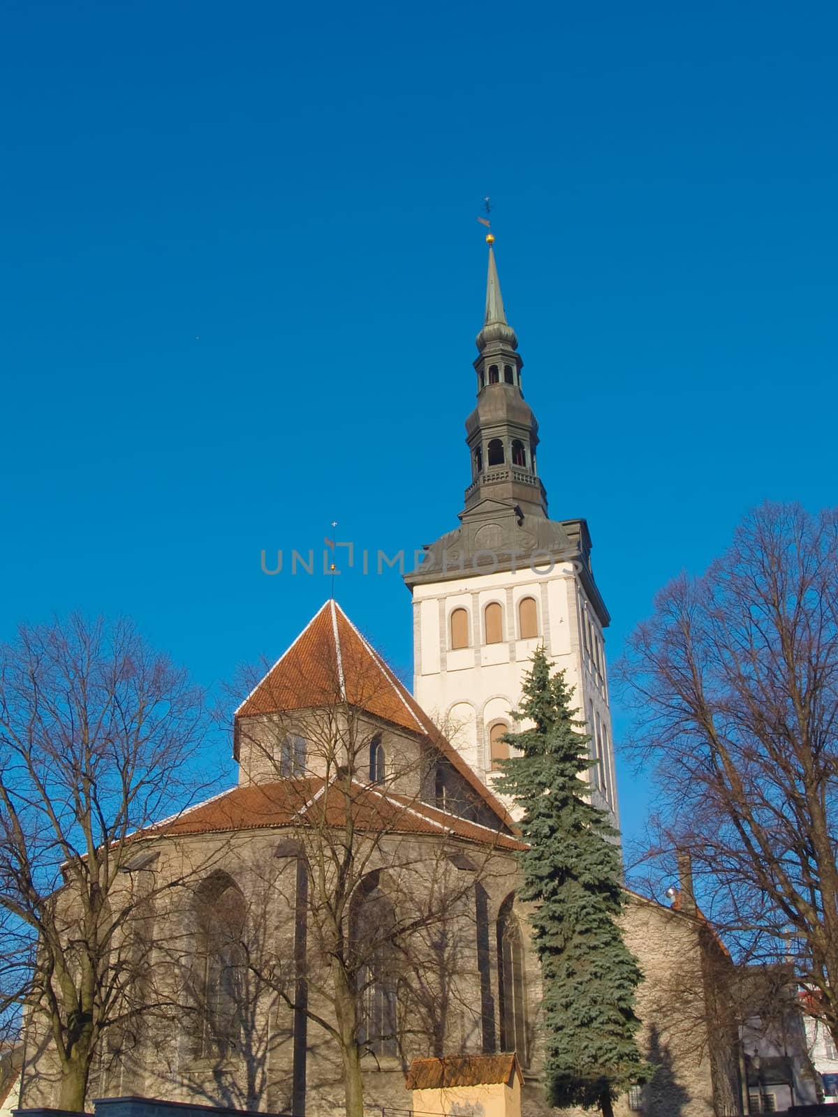 Architectural details a belltower of cathedral Niguliste, Tallinn