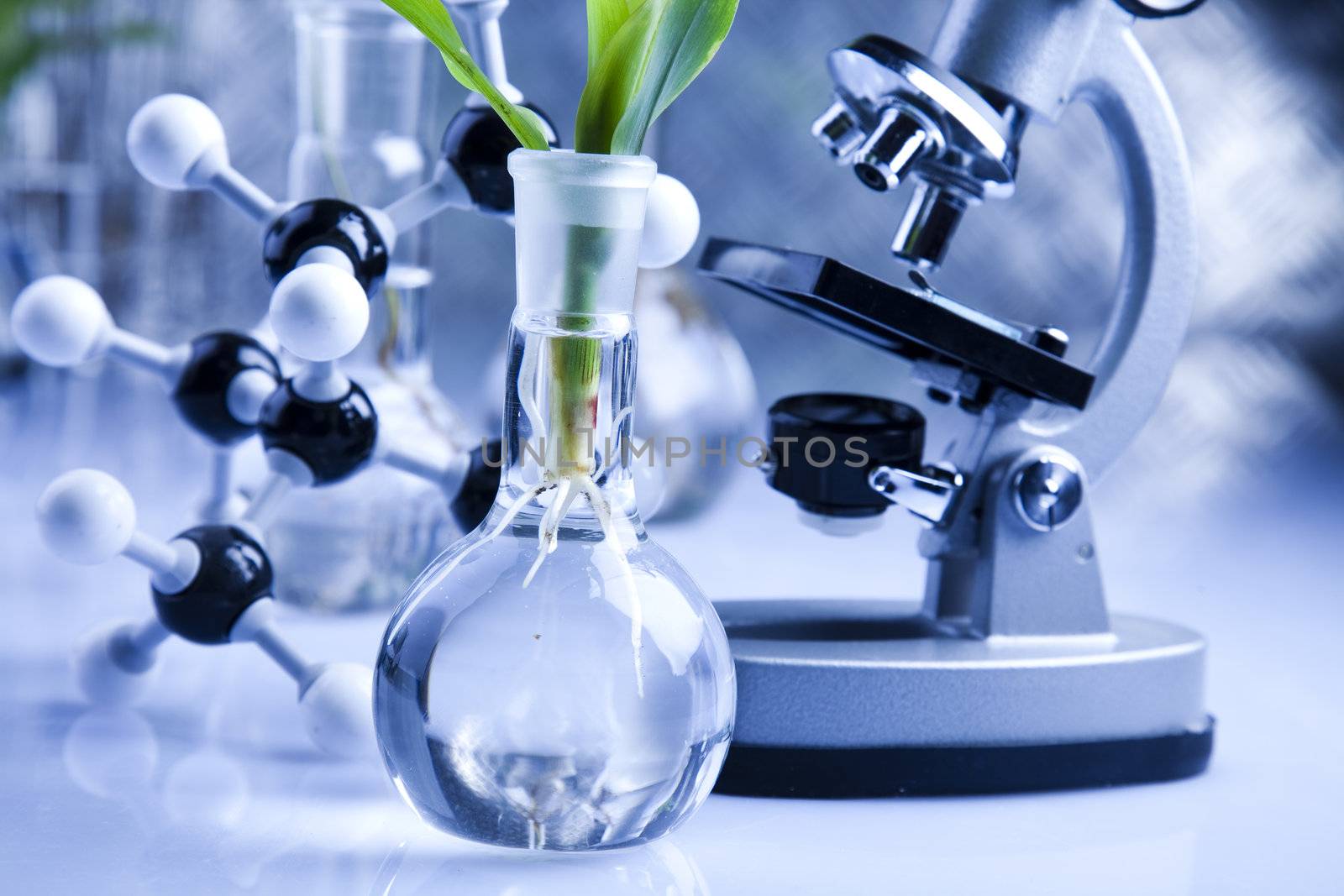 Plants  and laboratory 