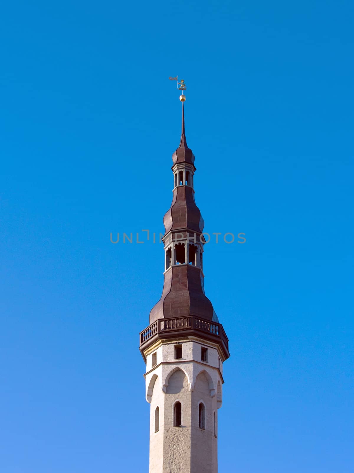 The Tallinn town hall and Wind-vane Old Thoomas by lem