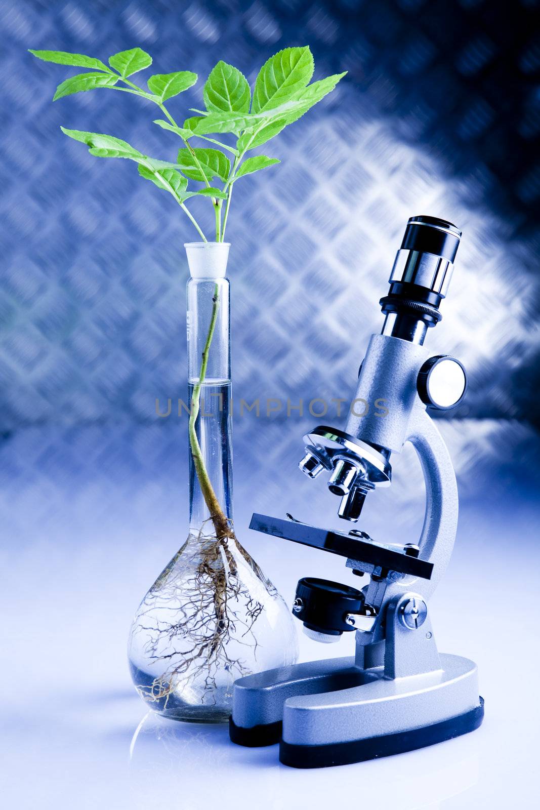 Plants  and laboratory 