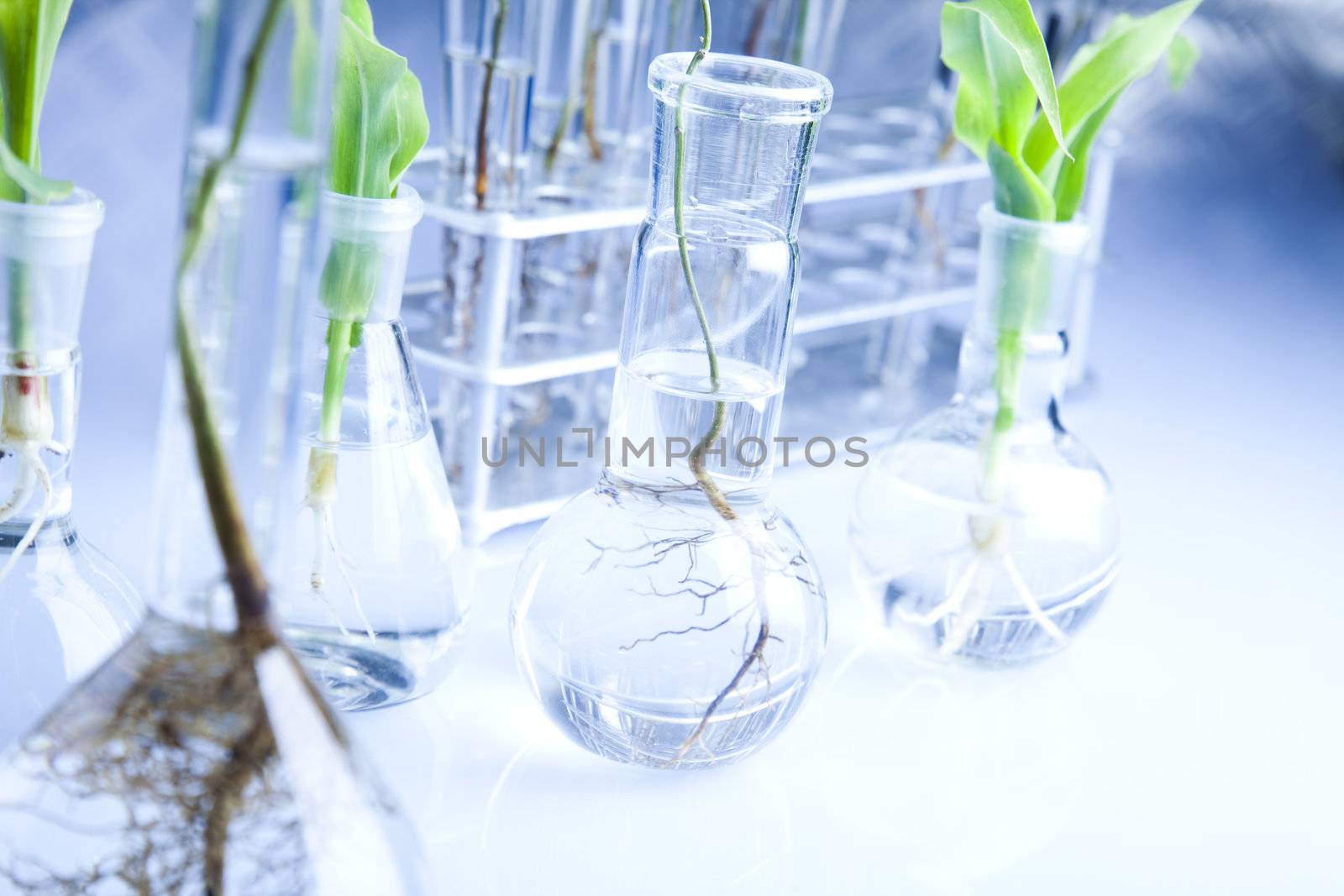 Plants  and laboratory 