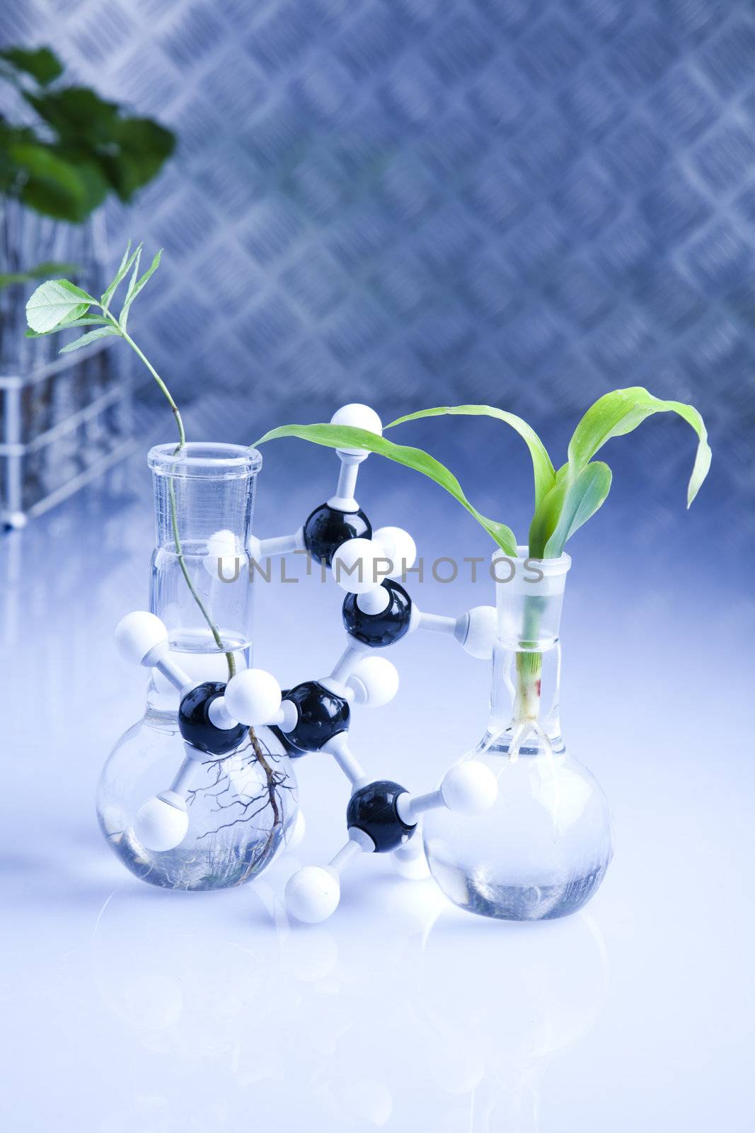 Working in a laboratory and plants  by JanPietruszka