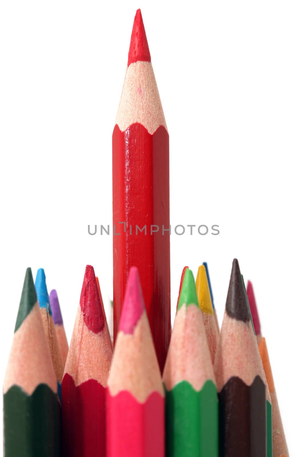 long red pencil and colorful pencils closeup detail isolated with copyspace