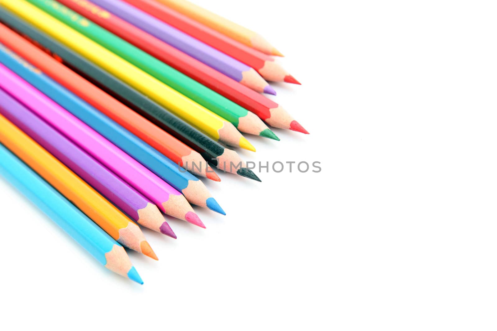 colorful pencils  isolated on  white background with copyspace