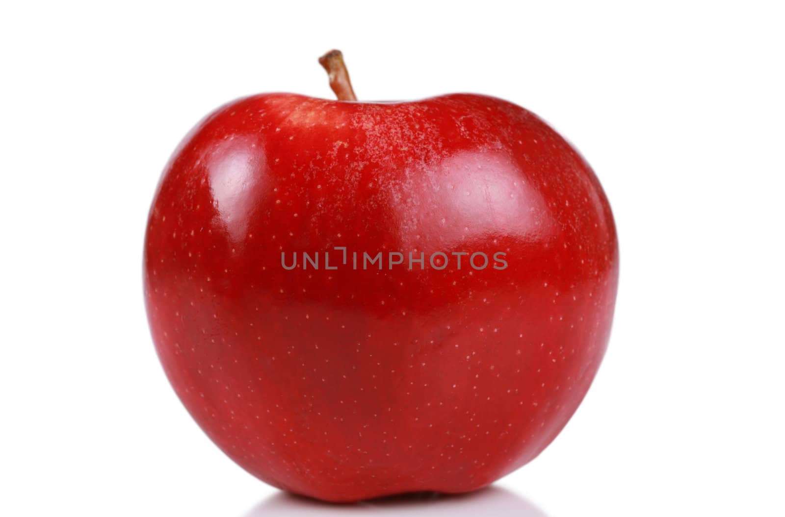 Single red gala apple isolated on white