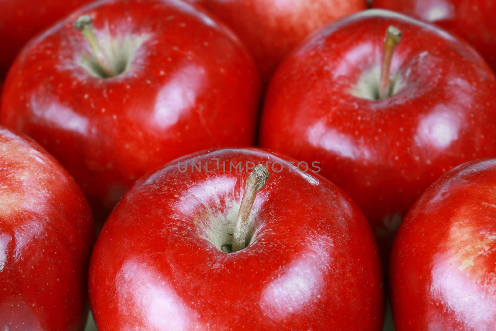 Red gala apples by jarenwicklund