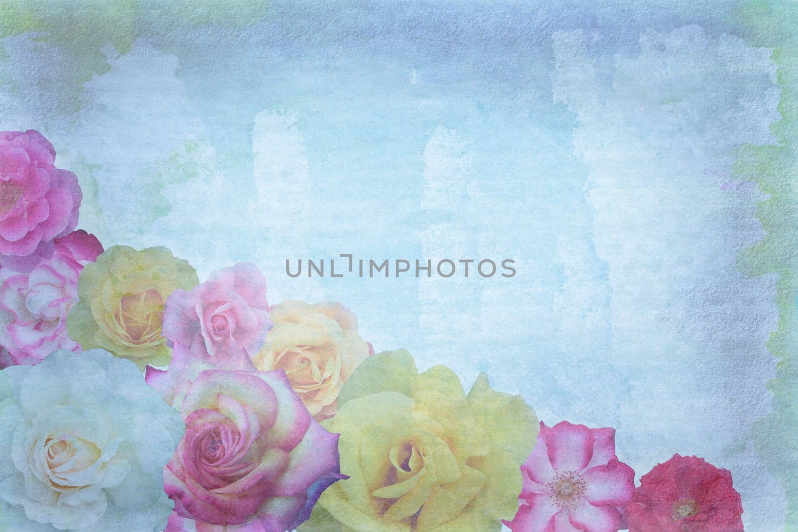 Roses on grunge background with blue tint