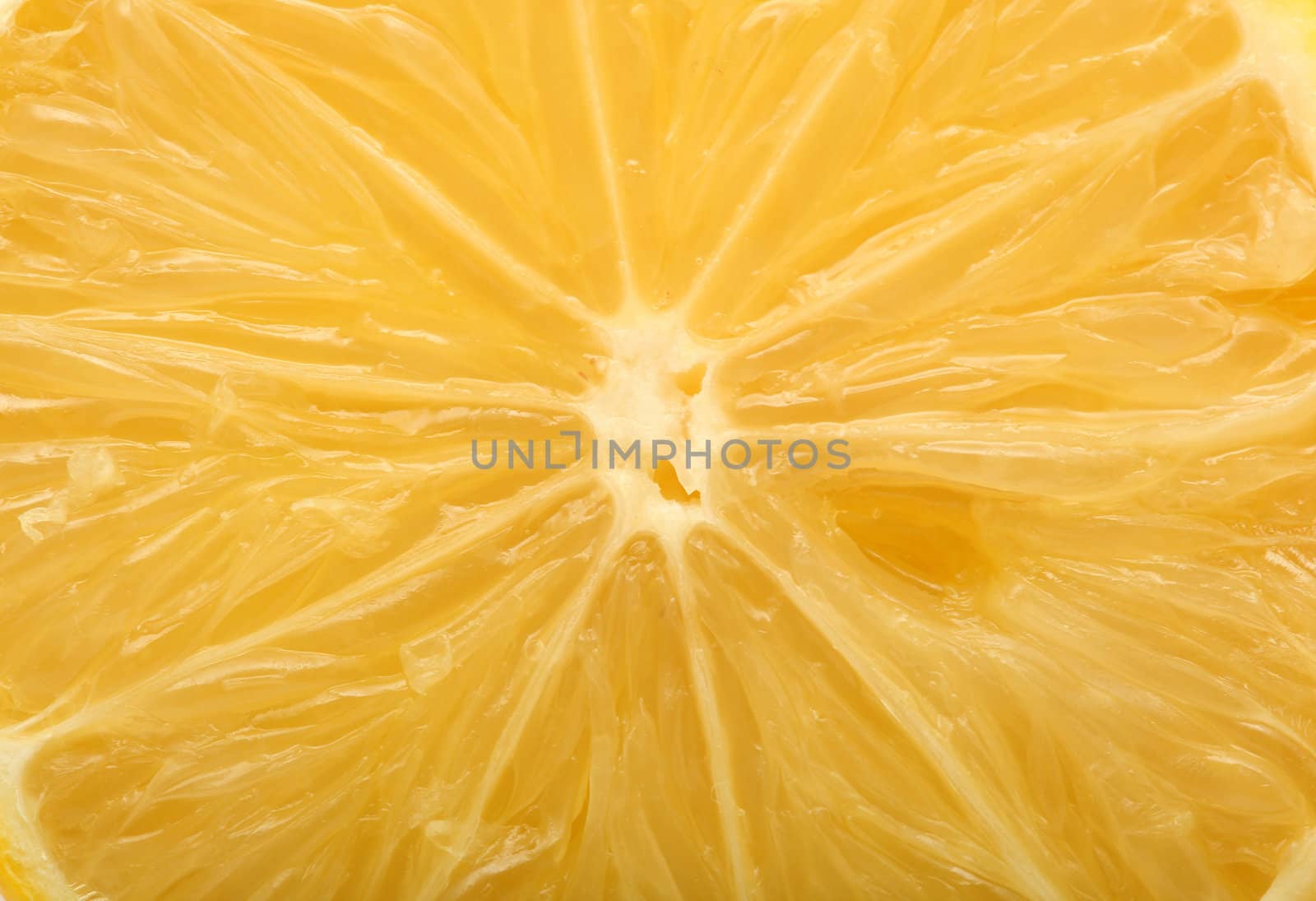 closeup of slised lemon for background healthy eating