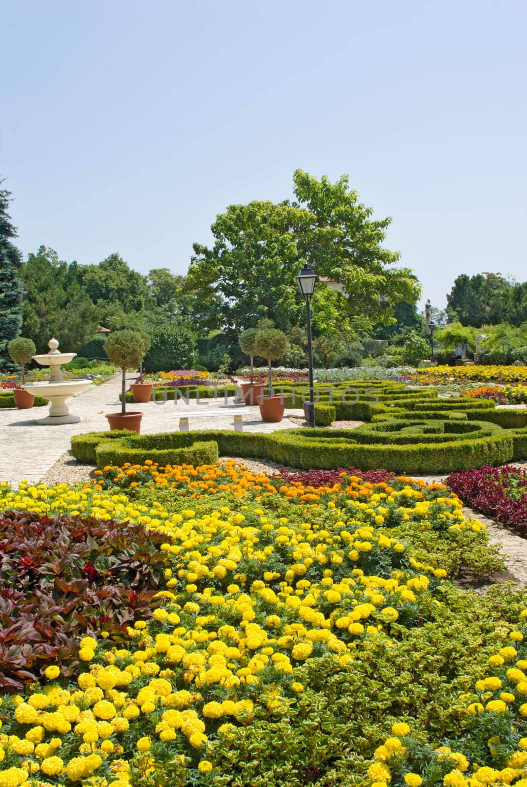 Well-groomed park with a fountain, colors, bushes and trees.